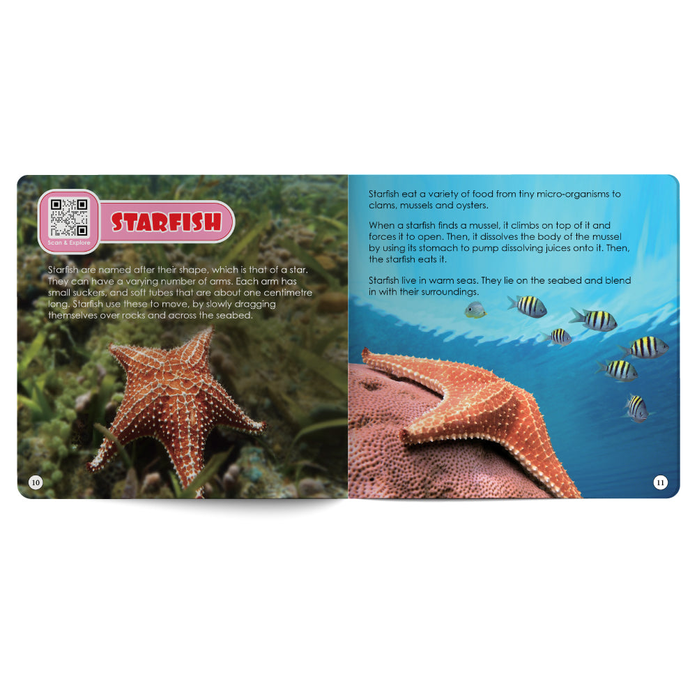 Educational card about starfish with images and text on a white background