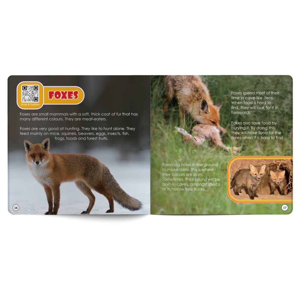 Educational card about foxes with images and text on a white background