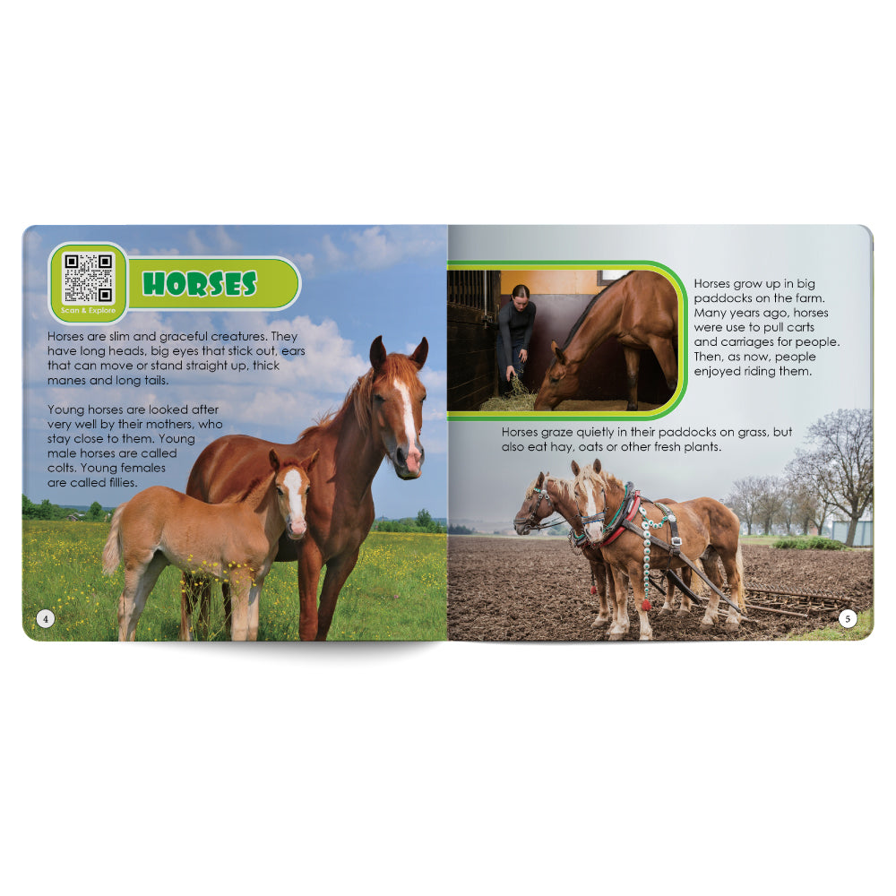 Educational book about horses with images and text on a white background