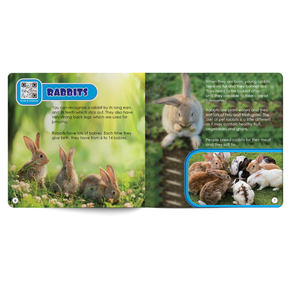Educational card about rabbits with images and text on a green background