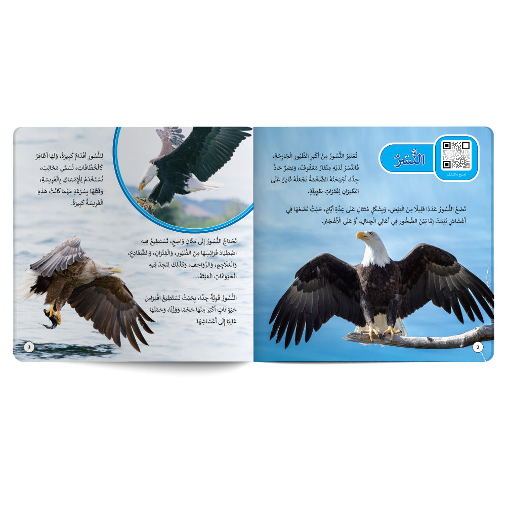 Birds – Book for Kids in Arabic