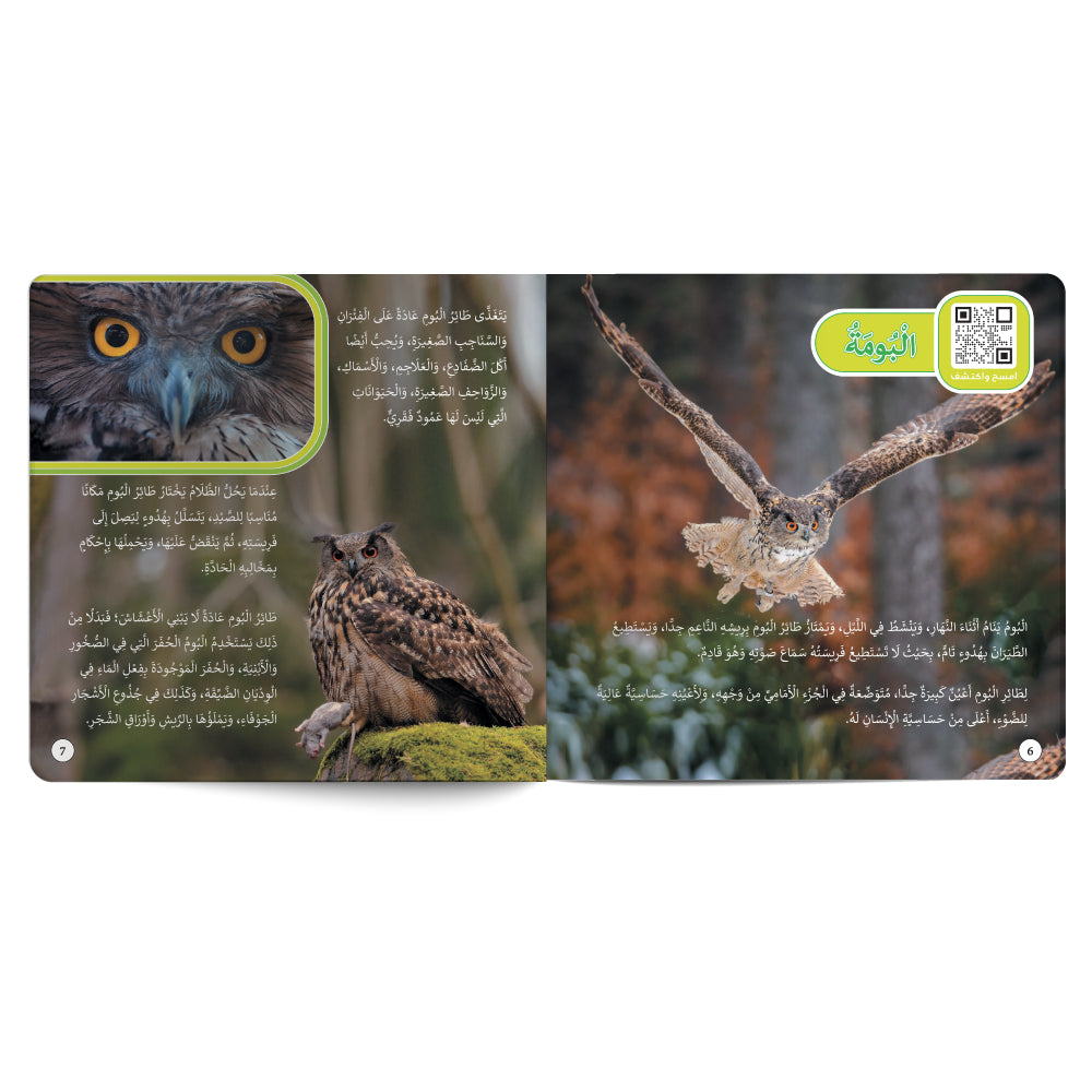Birds – Book for Kids in Arabic