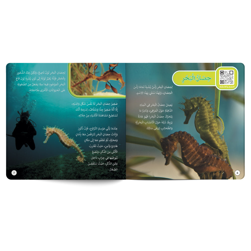 Sea World – Book for Kids in Arabic