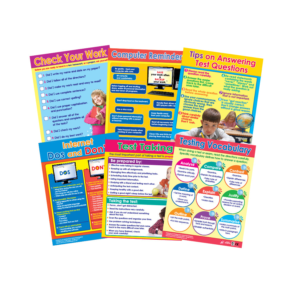 A set of six colorful educational wall charts with various topics such as checking your work, computer etiquette, and testing vocabulary.