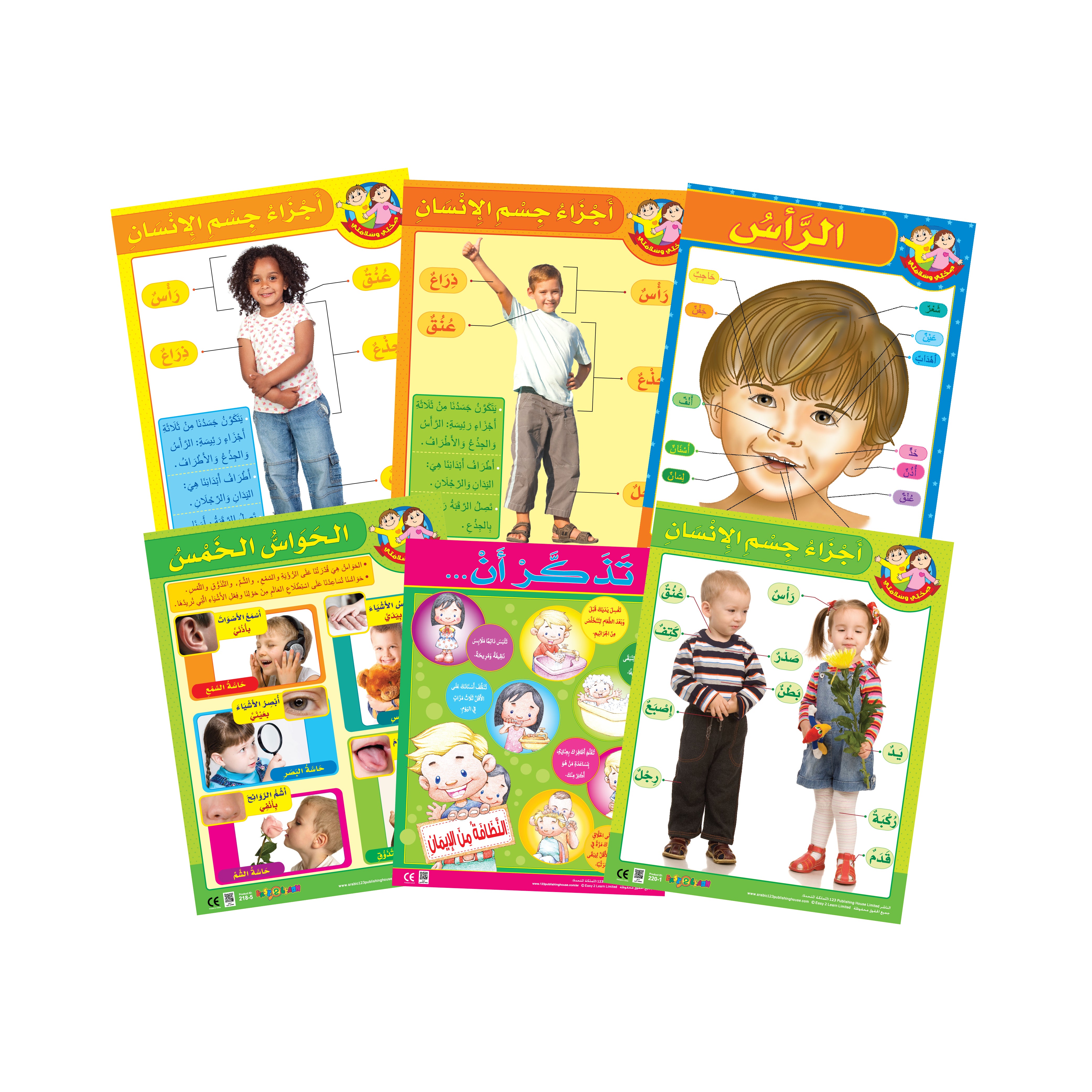 Set of six colorful educational wall charts in Arabic, displayed on a white background, featuring illustrations of children and educational information related to body parts and senses.