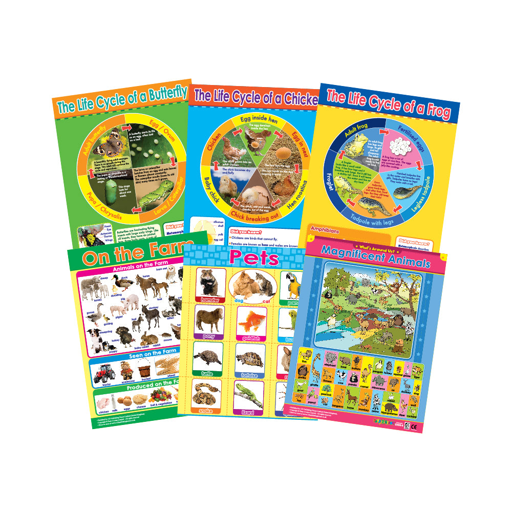 A set of six colorful educational wall charts for children, featuring topics related to animals and life cycles, with text and illustrations suitable for an English language learning environment.