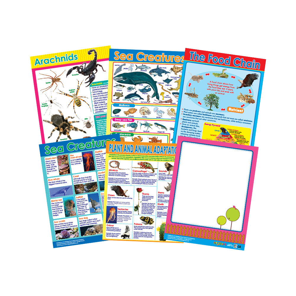 A set of six colorful educational wall charts for children, featuring topics such as arachnids, sea creatures, and the food chain, displayed on a white background.