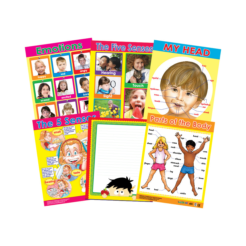 A set of six colorful educational wall charts for children on various topics including the five senses, body parts, and emotions, with an image of a child on the cover of each chart.