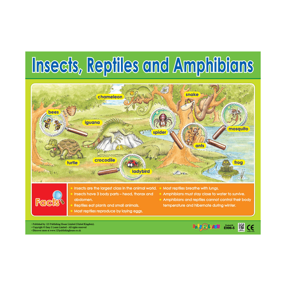 An educational wall chart titled 'Insects, Reptiles and Amphibians' featuring colorful illustrations of various insects, reptiles, and amphibians, with labels and text descriptions.