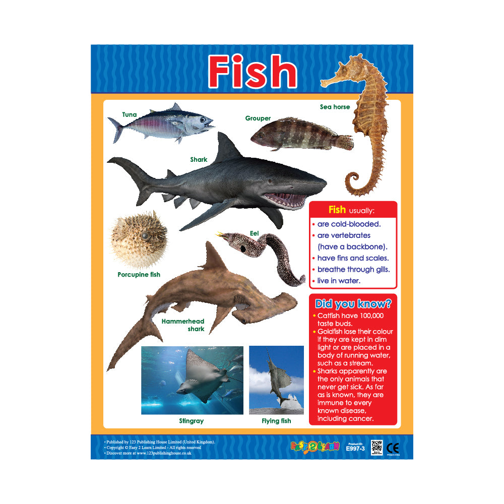 Fish educational poster