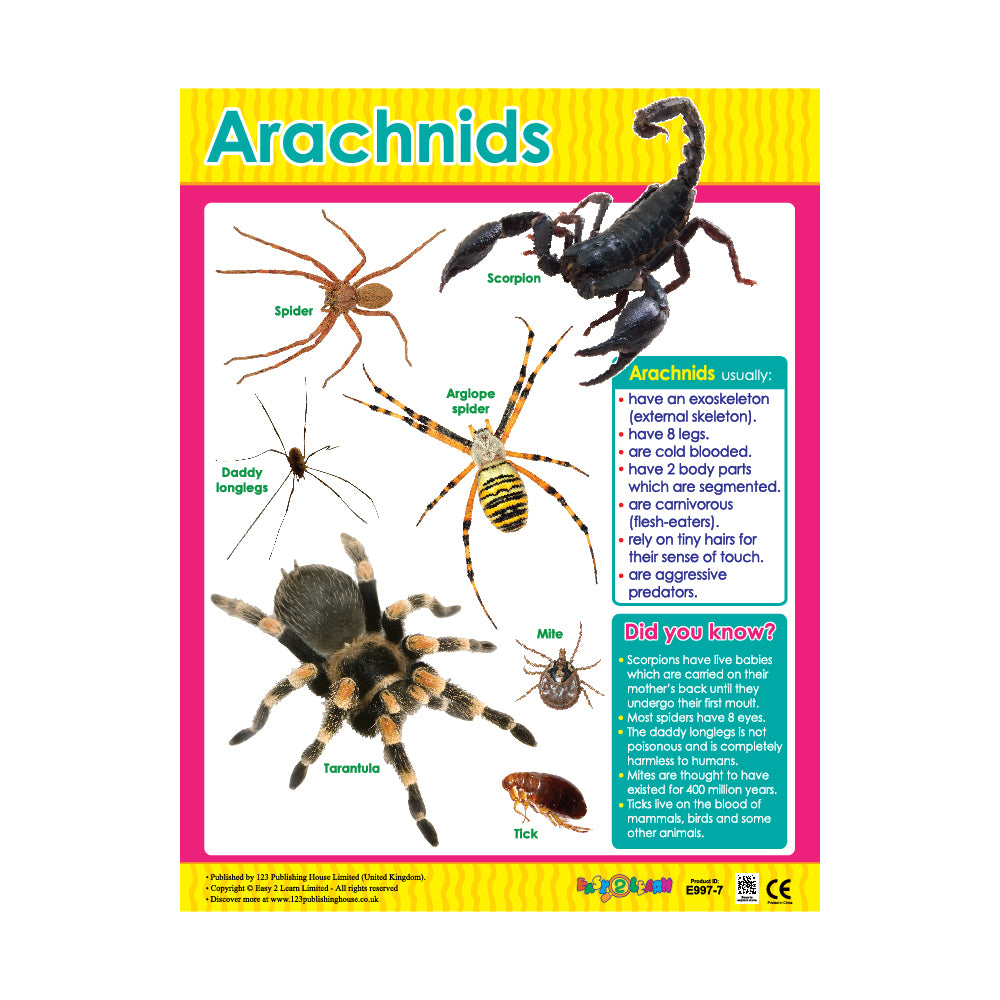 arachnids