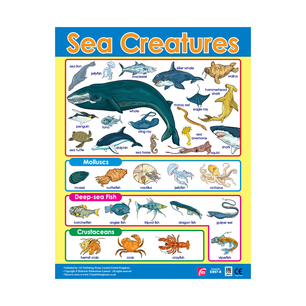 sea creatures