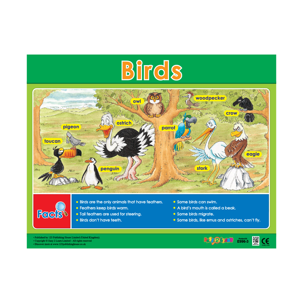 A colorful wall chart titled 'Birds' with various illustrations of birds, a tree, and a description of each bird's appearance and habitat.