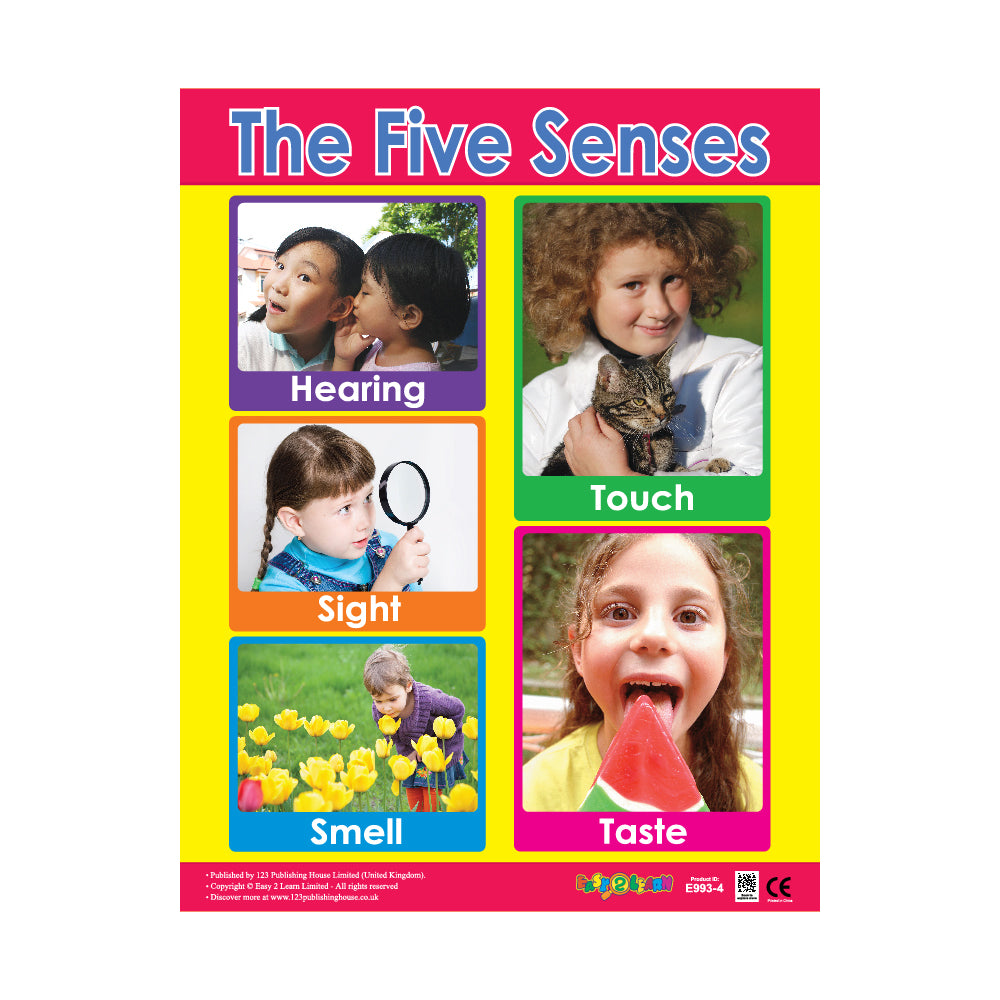 A colorful wall chart titled 'The Five Senses' featuring various images and illustrations related to each of the five senses, such as hearing, sight, smell, taste, and touch, with the CE marking.
