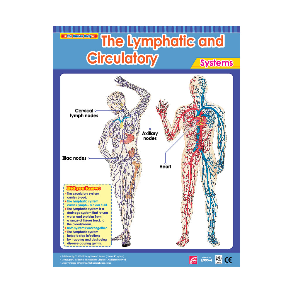 The Lymphatic and Circulatory
System
