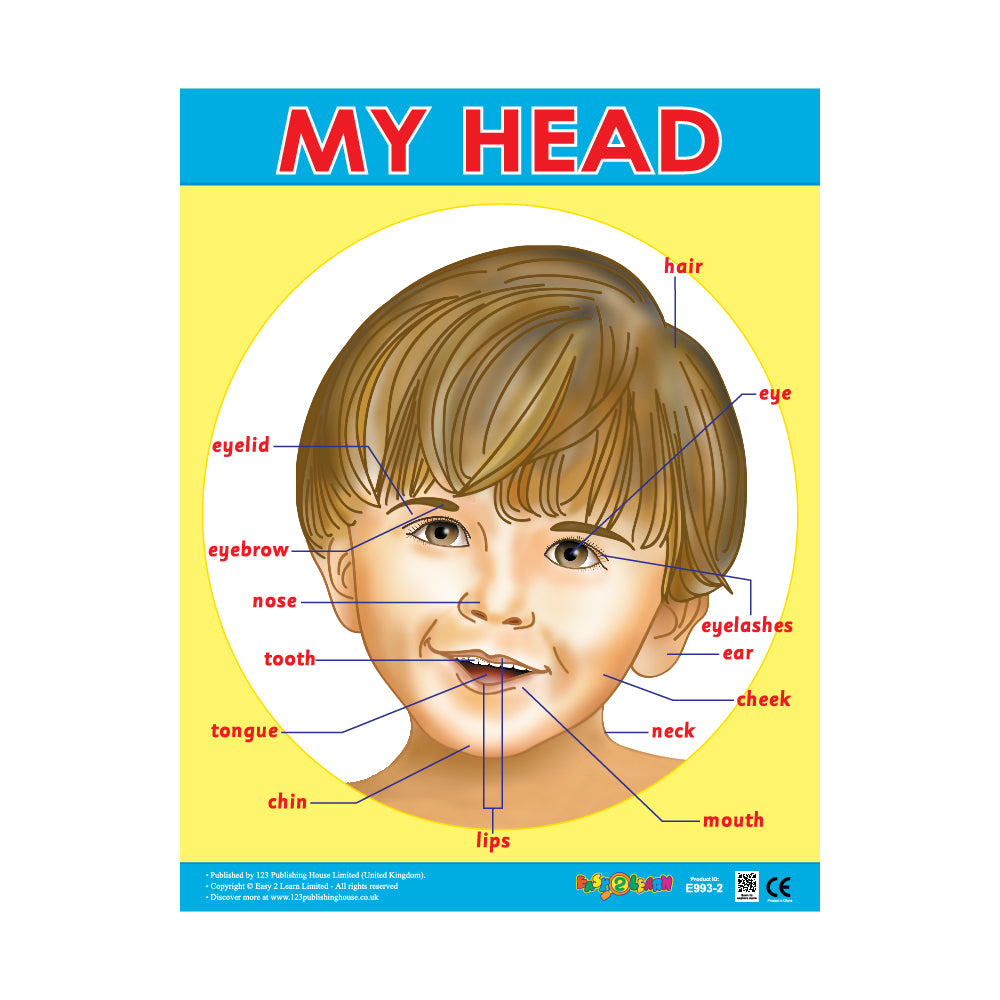 A colorful wall chart titled 'MY HEAD' with a child's face in the center, surrounded by labels for various body parts in English.