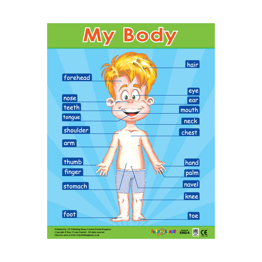This is an educational chart or poster illustrating and labeling various parts of the human body, commonly used for teaching vocabulary related to anatomy