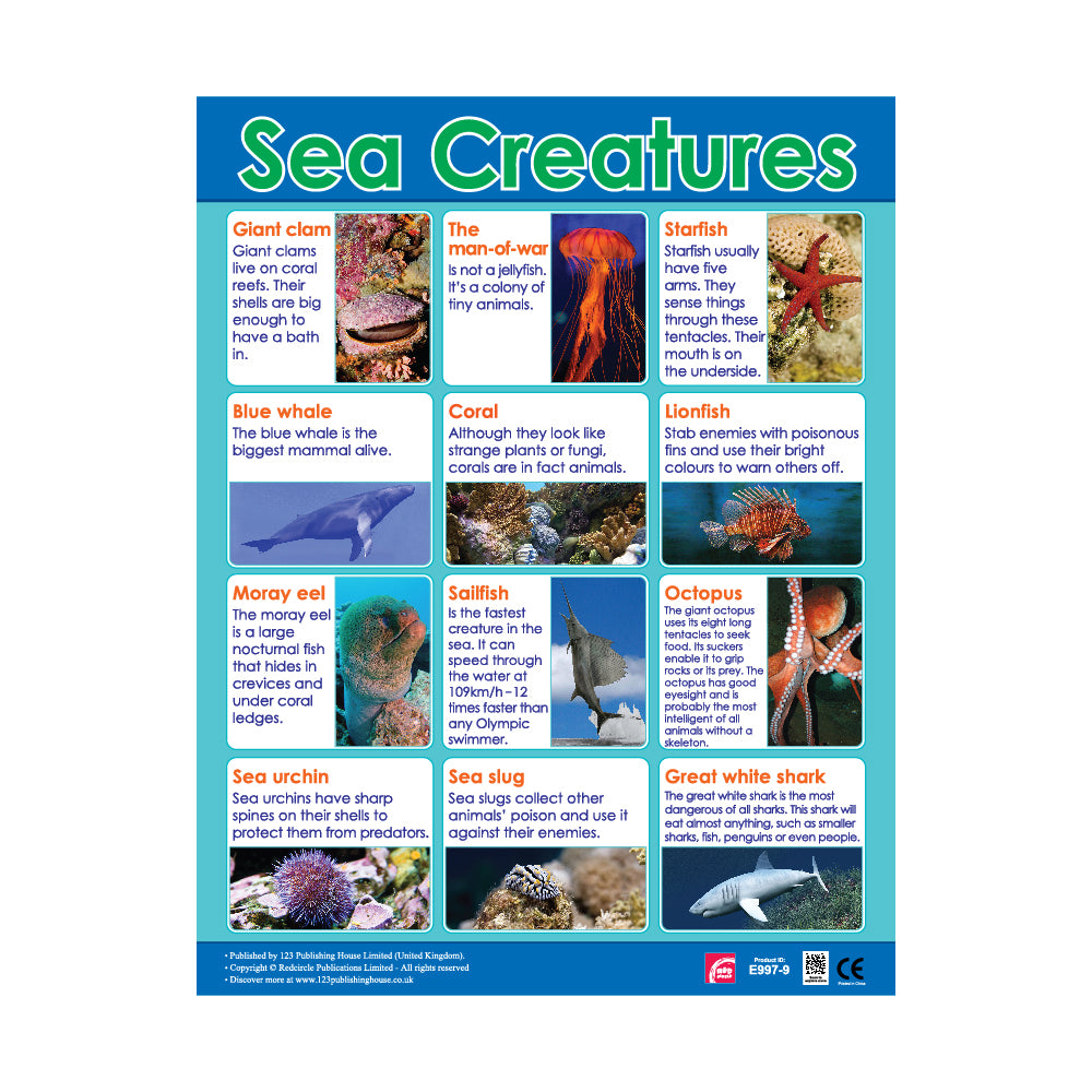 sea creatures