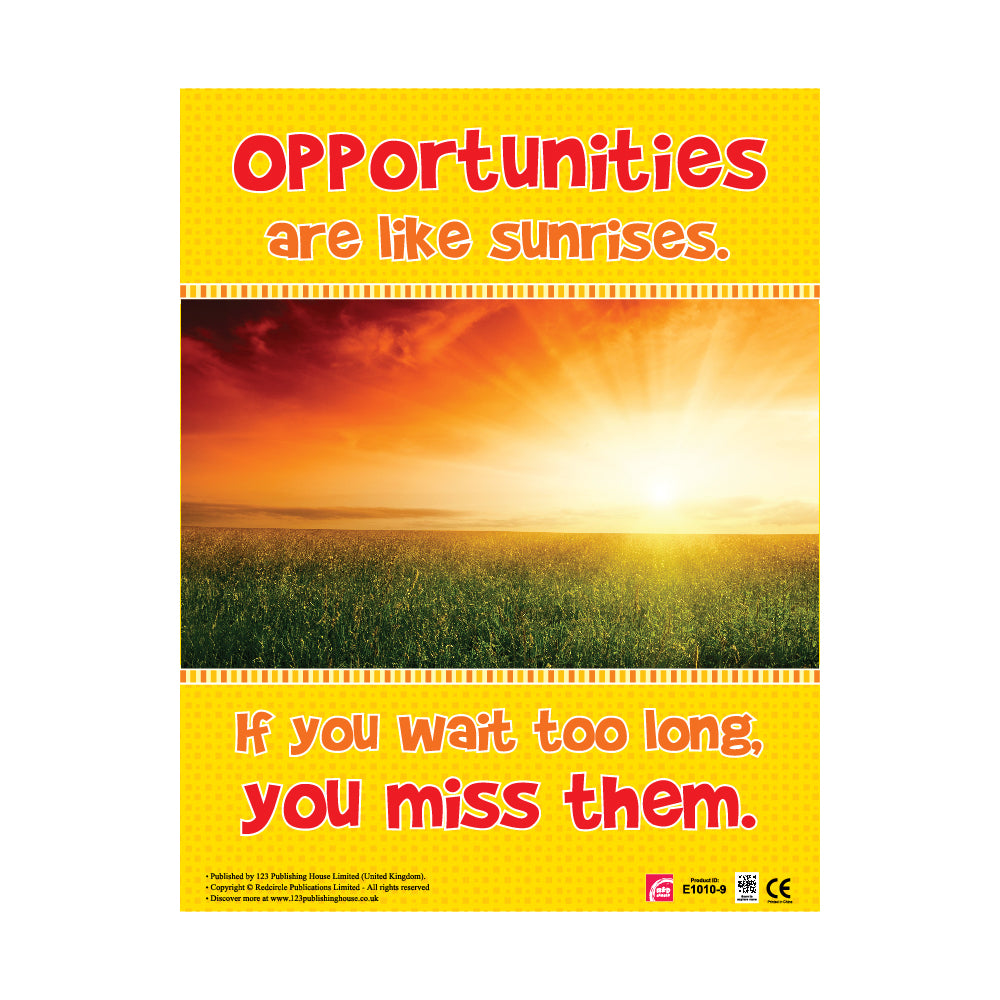 opportunities are like sunrises if you wait too long you miss them