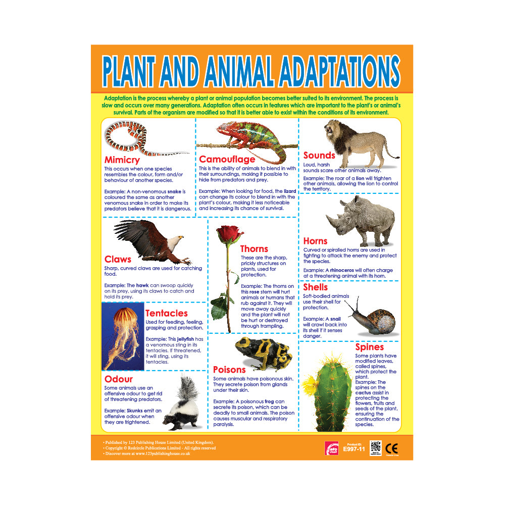 plants and animals adaptations