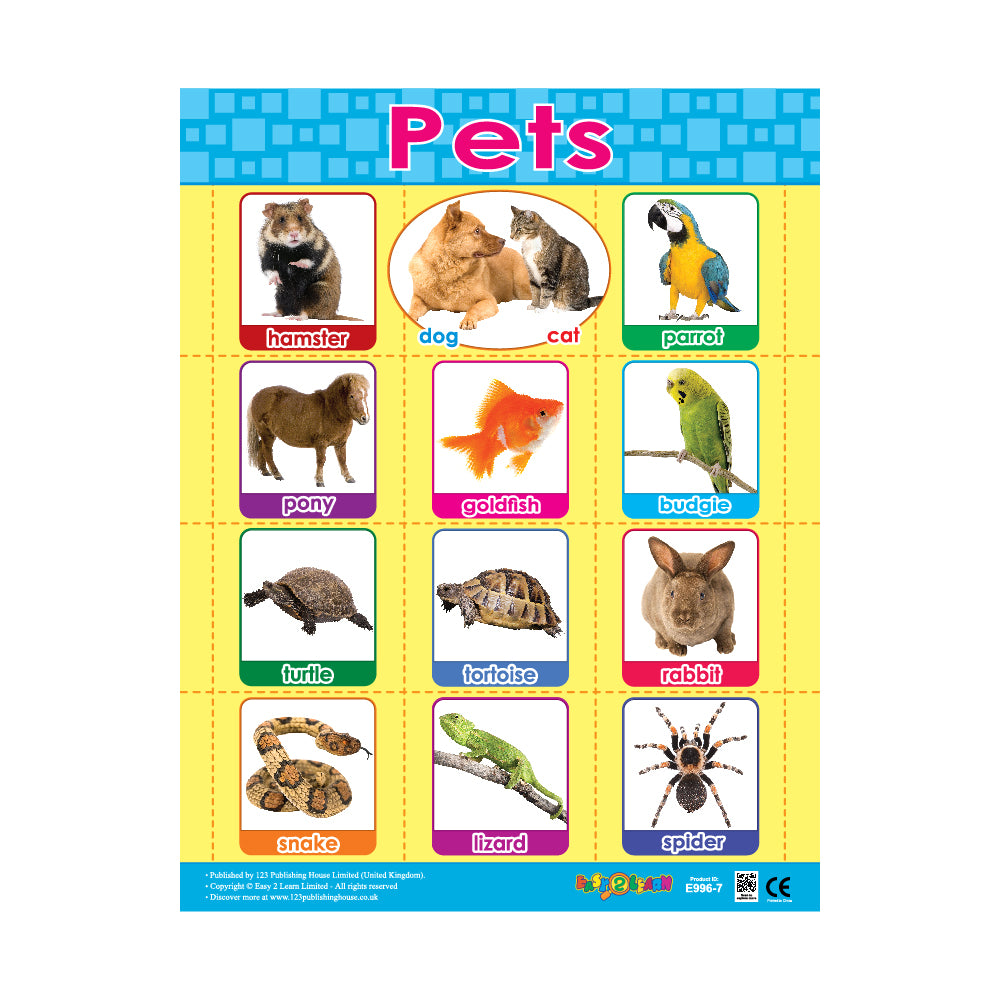 A colorful wall chart titled 'Pets' with various categories including 'Animals', 'Birds', and 'Reptiles', featuring images of different pets such as a dog, cat, parrot, and spider.