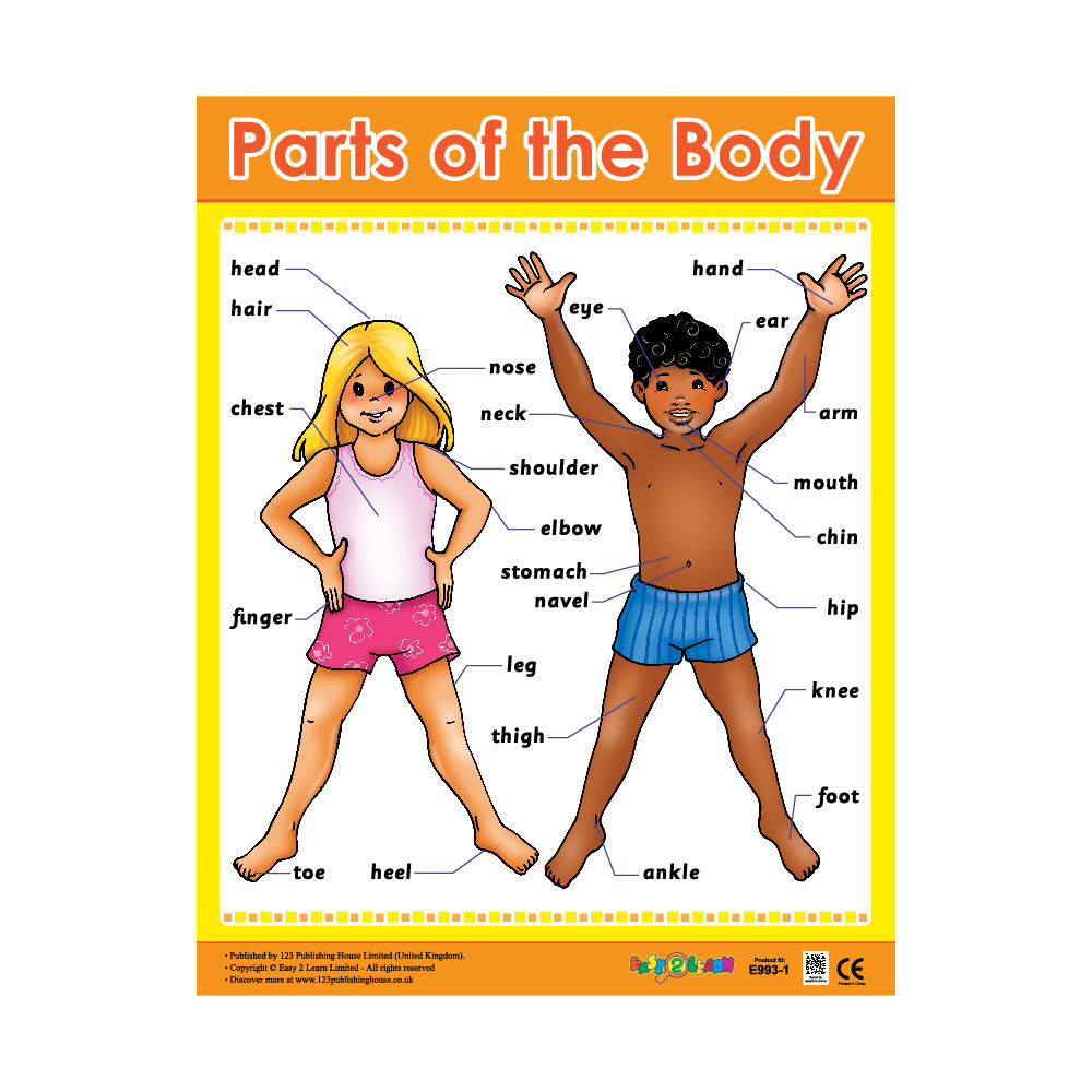 A colorful wall chart titled 'PARTS OF THE BODY' featuring diagrams of a male and a female body with labels for different body parts, such as head, neck, shoulder, and knee.
