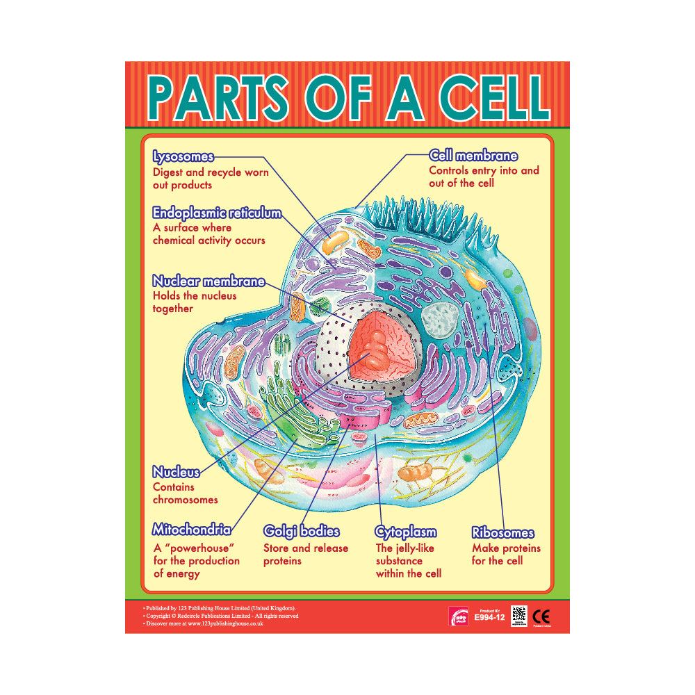 important parts of the Cell