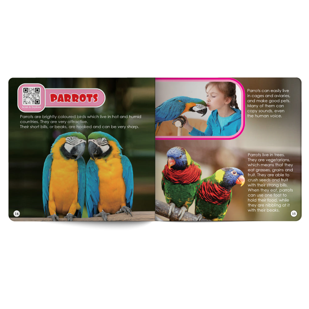 Educational card about parrots with images and text on a white background