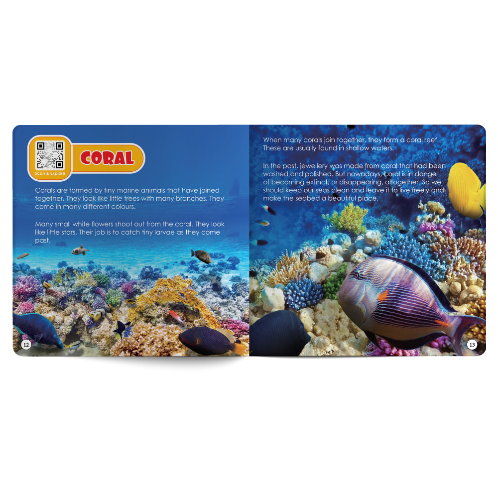 Educational card about coral with colorful illustration and text on a white background