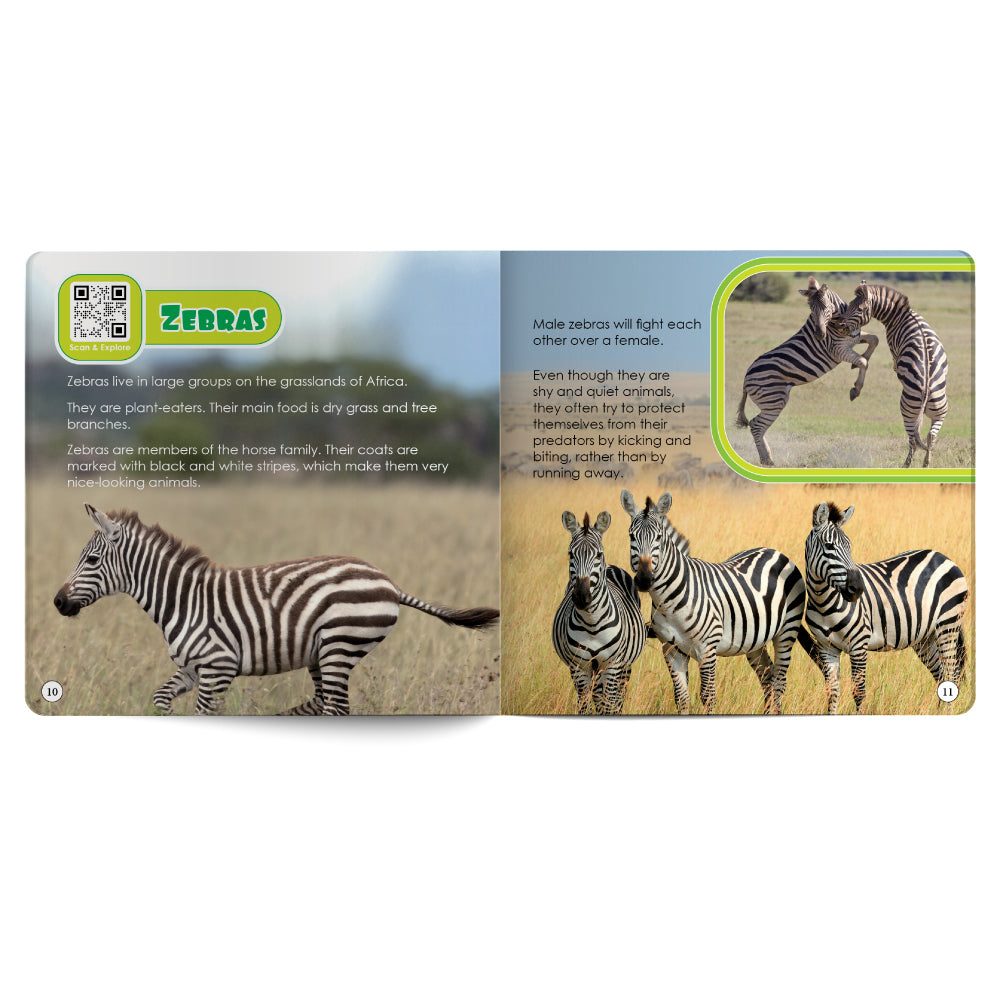 Educational book about zebras with images and text on a white background