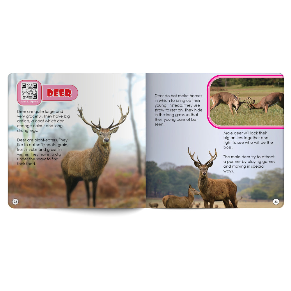 Book open to a page about deer with images and text.