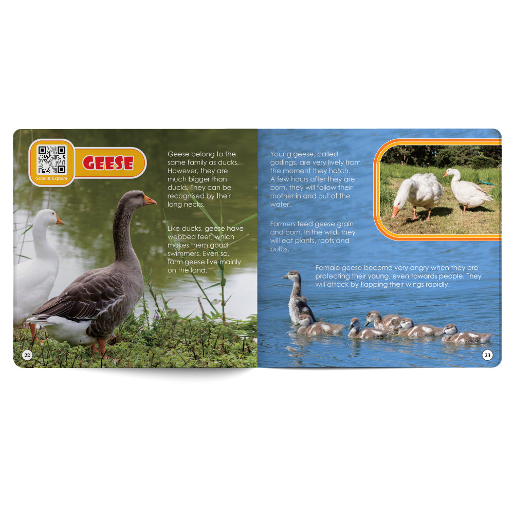 Book open to a page about geese with images and text on a white background