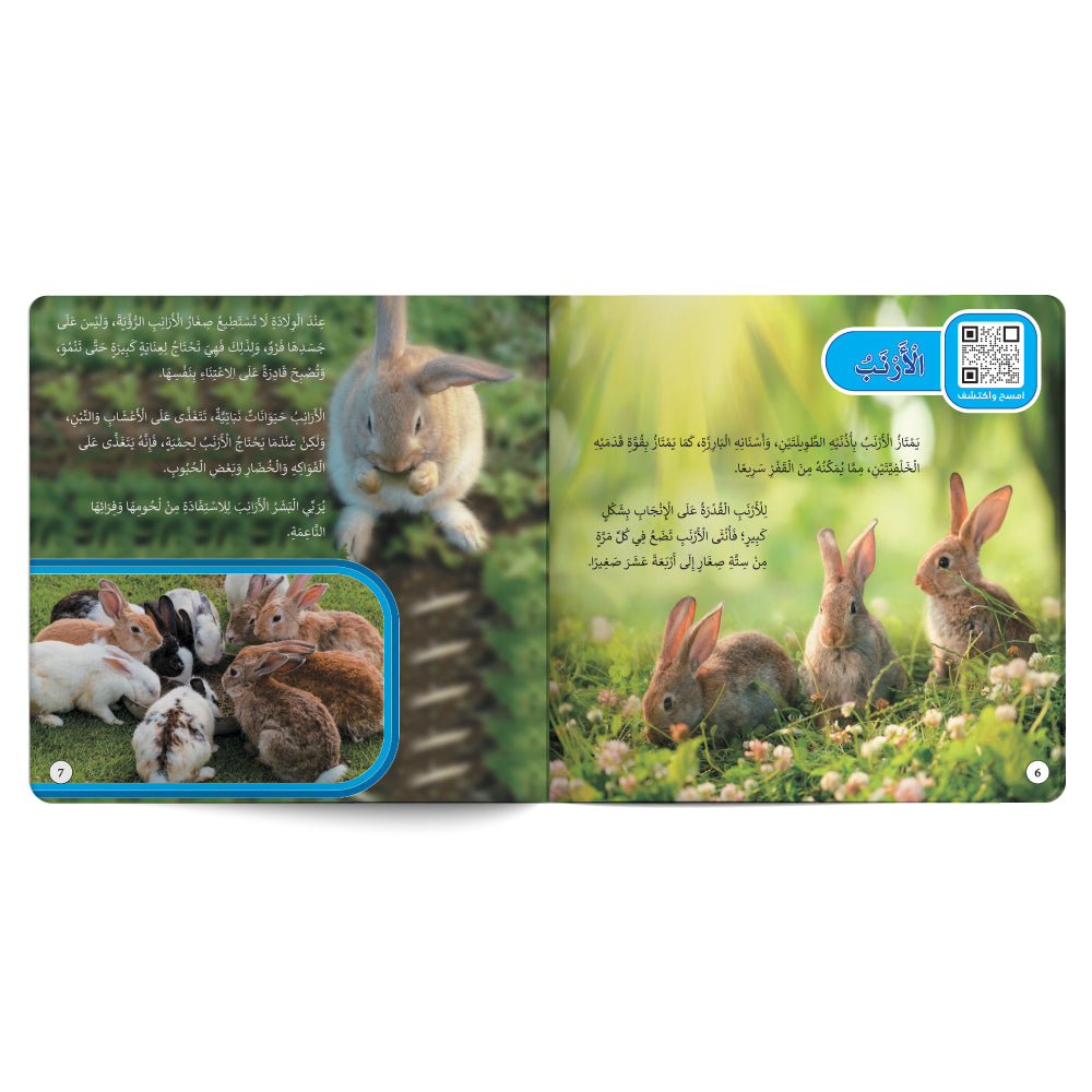 Farm Animals – Book for Kids in Arabic