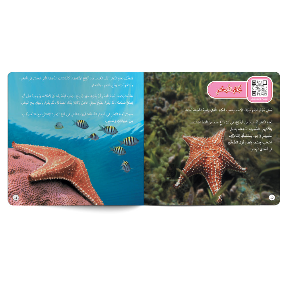 Sea World – Book for Kids in Arabic