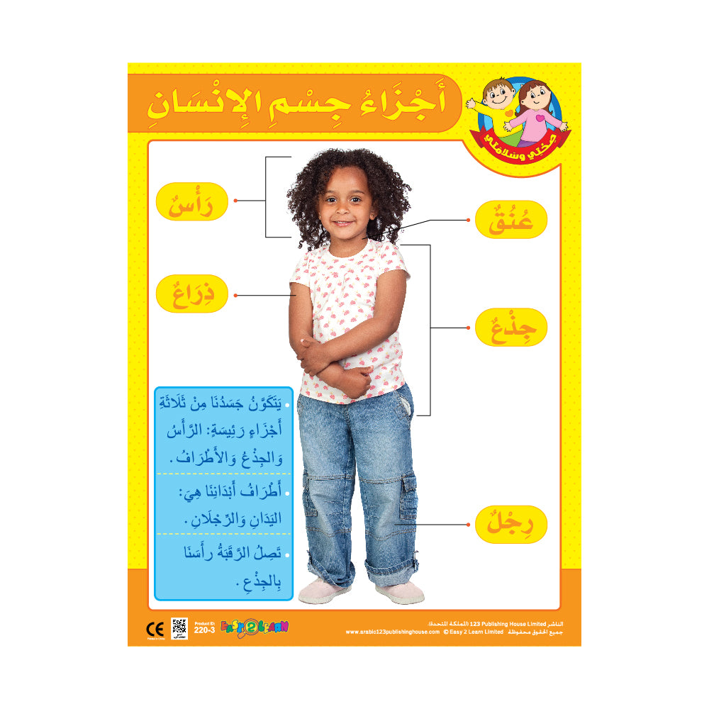 My Body & My 5 Senses (6 Wall Charts) - Educational Wall Chart Pack in Arabic